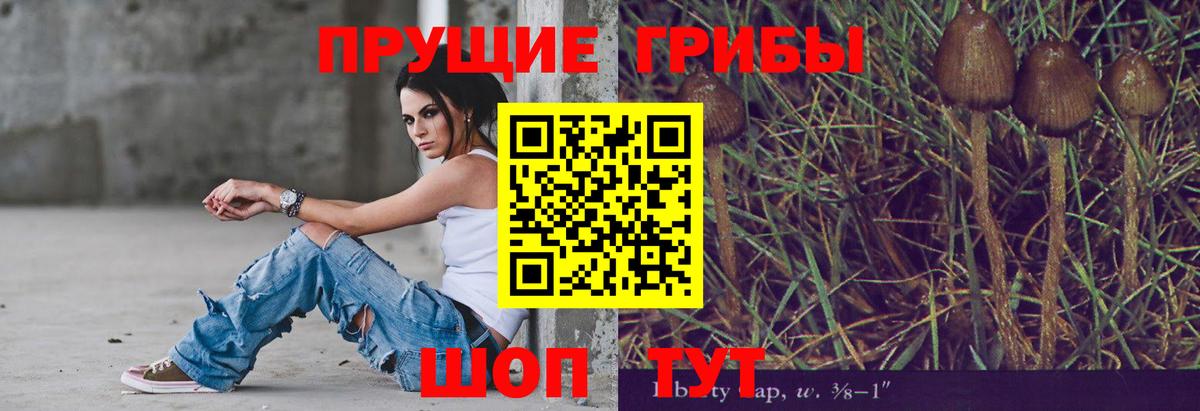 Псилоцибиновые грибы Psilocybine cubensis  Вход с VPN  Шали 